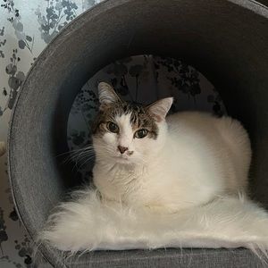 Meet your Posher, Jana